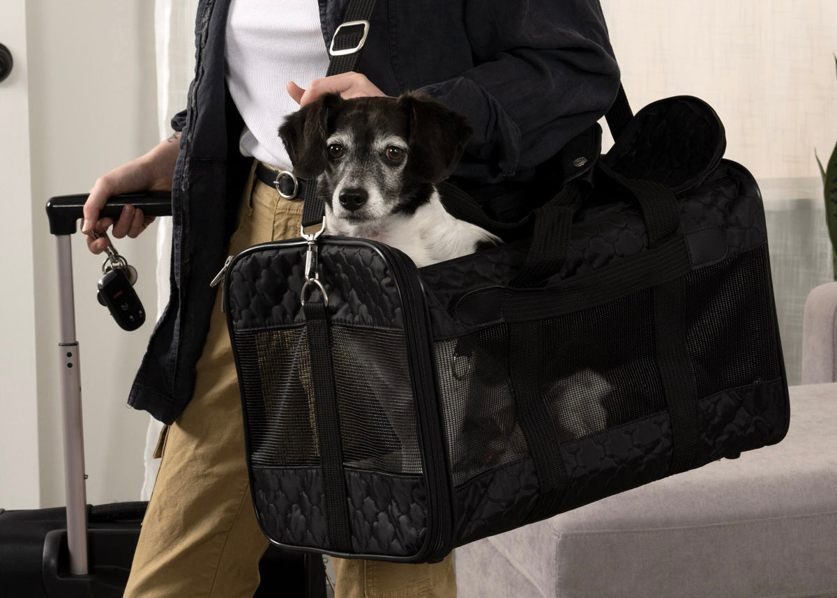 Airline-Approved Deluxe Travel Pet Carrier